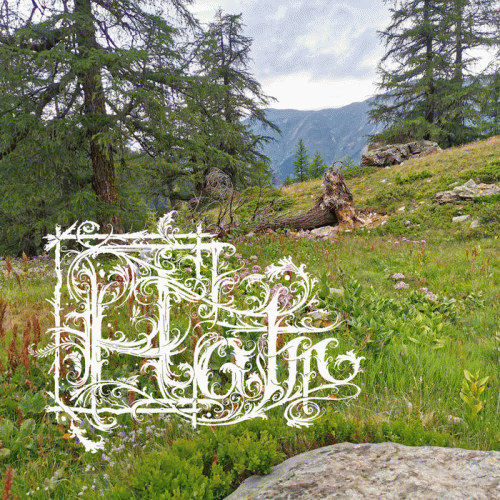 Halm : Apprentice II. Holunderritter von L​ö​wenschild